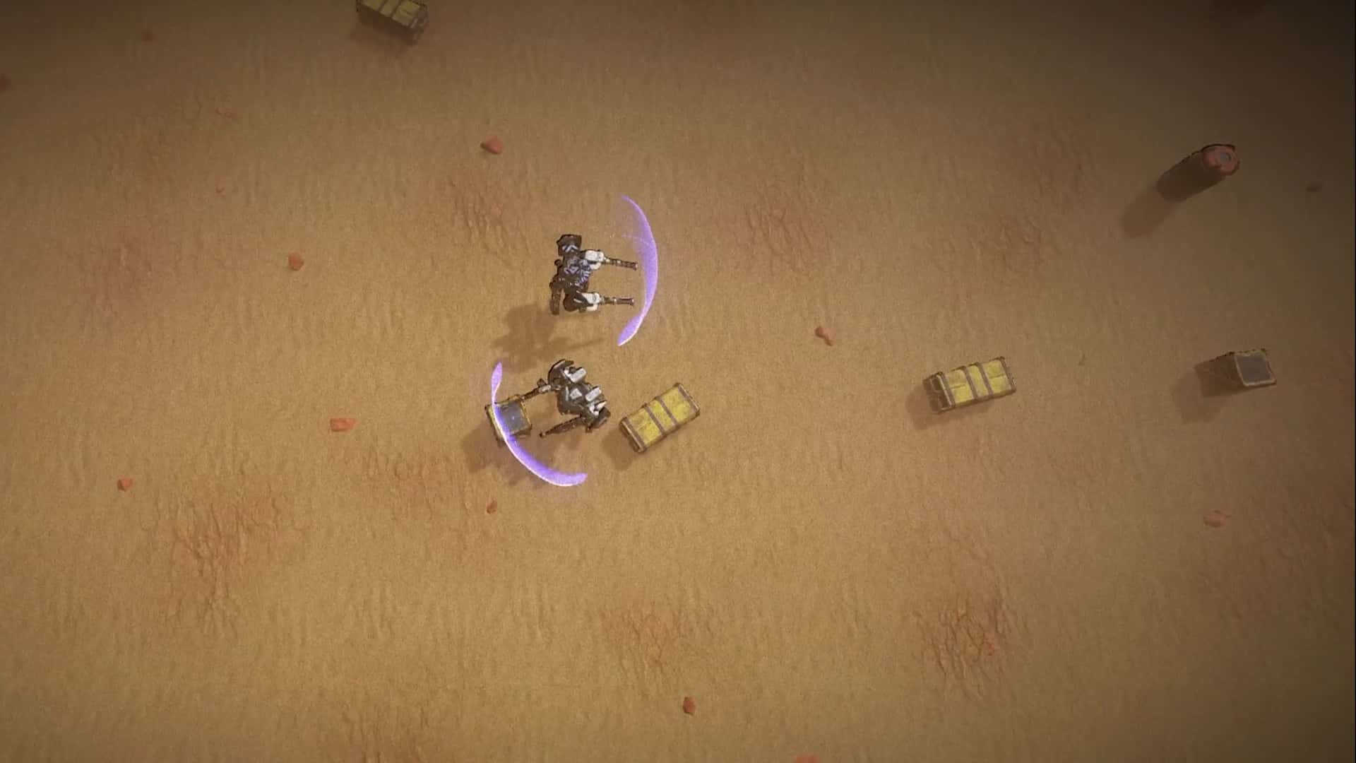 Desert environment